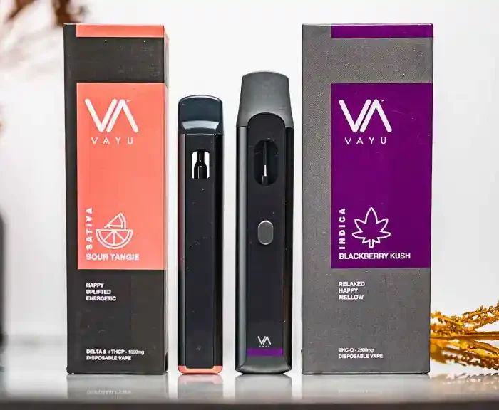 Disposable Vapes