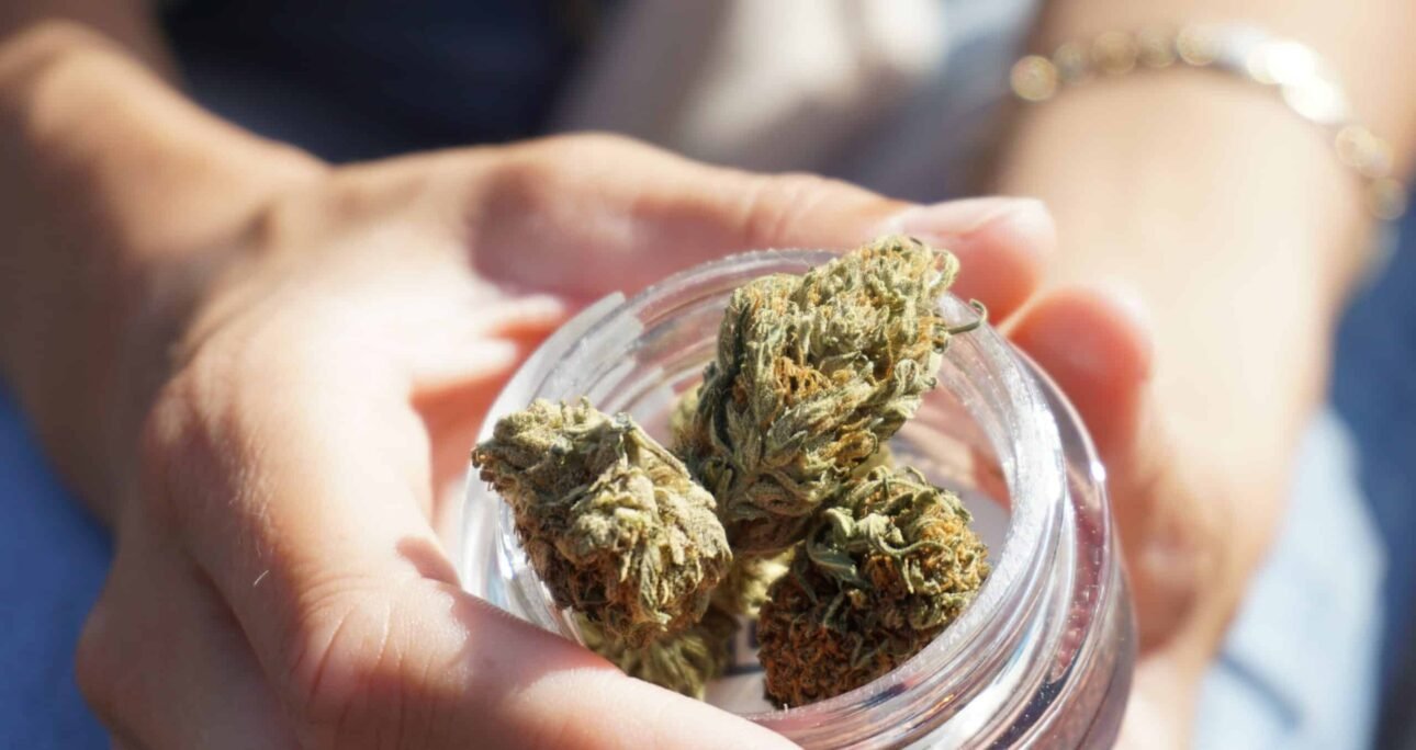Building a Community: Connecting with Fellow THCA Enthusiasts