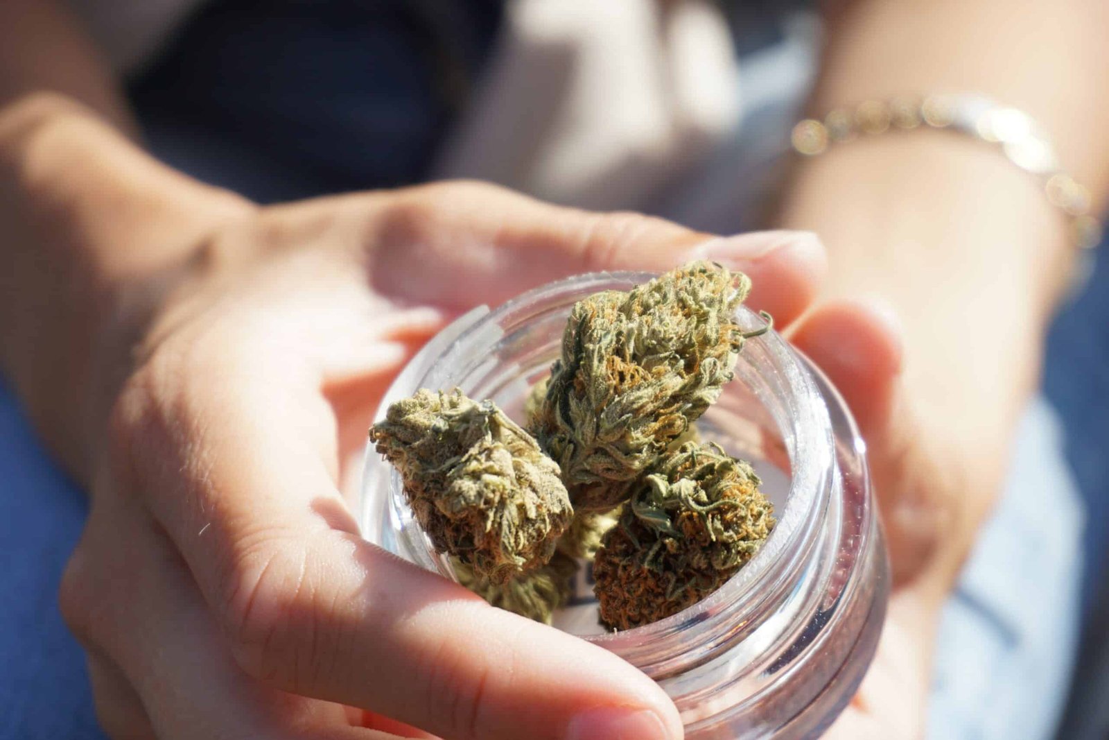 Building a Community: Connecting with Fellow THCA Enthusiasts